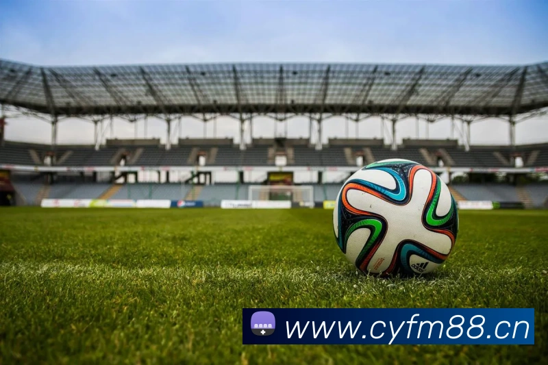 星空电竞app下载入口APP 封面图